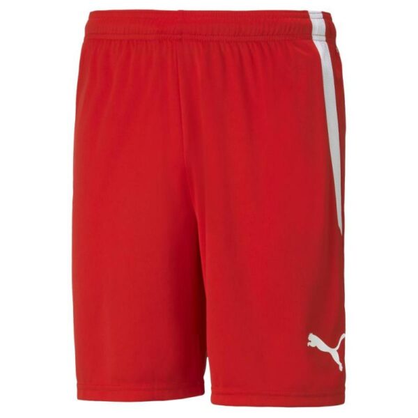 Puma Puma Teamliga Shorts Jr 704931 Strømsø Sport 1