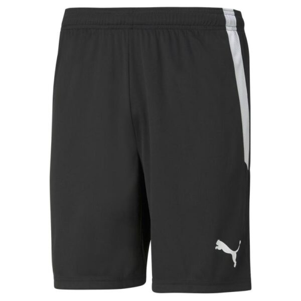 Puma Puma Teamliga Shorts Jr 704931 Strømsø Sport 1