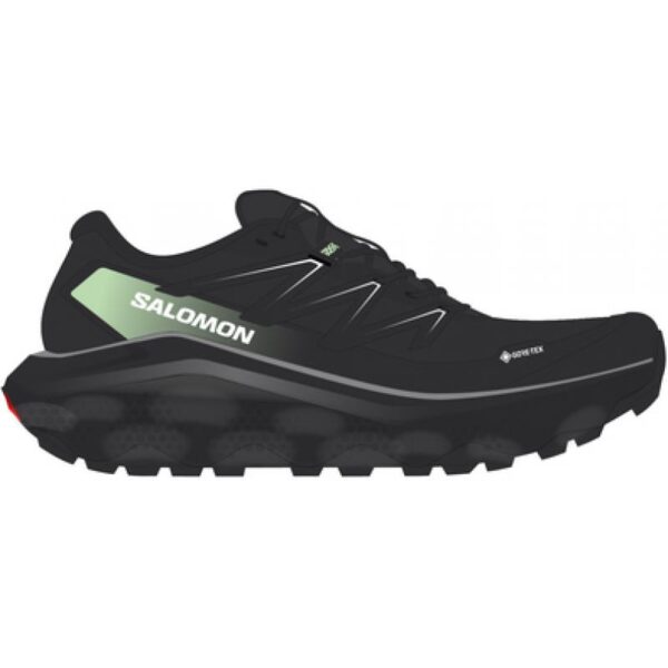 Salomon Salomon Ultra Flow 2 Gtx L47981400 Strømsø Sport 1