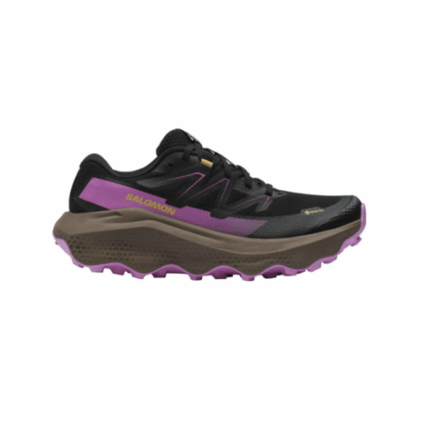 Salomon Salomon Ultra Flow 2 Gtx W L47884400 Strømsø Sport 1