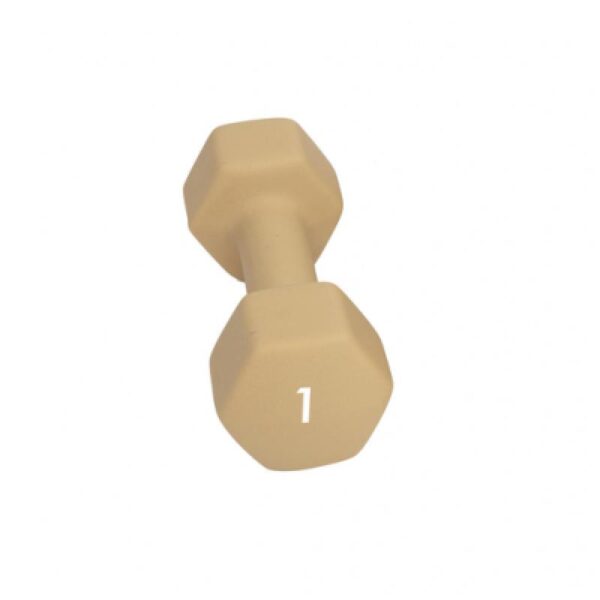 Abilica Abilica Dumbbell 1 Kg 374275 Strømsø Sport 1