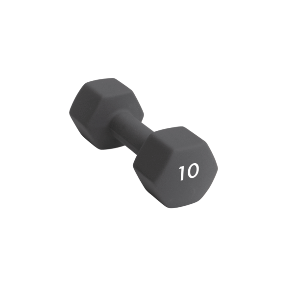 Abilica Abilica Dumbbell 10 Kg 374284 Strømsø Sport 1