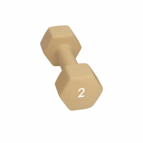 Abilica Abilica Dumbbell 2 Kg 374276 Strømsø Sport 1