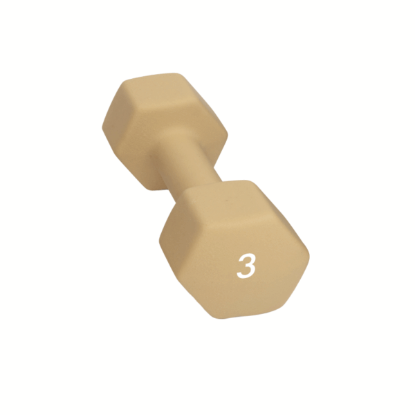Abilica Abilica Dumbbell 3 Kg 374277 Strømsø Sport 1