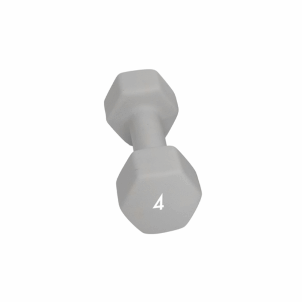 Abilica Abilica Dumbbell 4 Kg 374278 Strømsø Sport 1