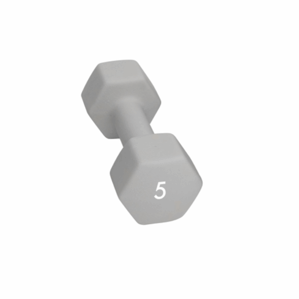Abilica Abilica Dumbbell 5 Kg 374279 Strømsø Sport 1