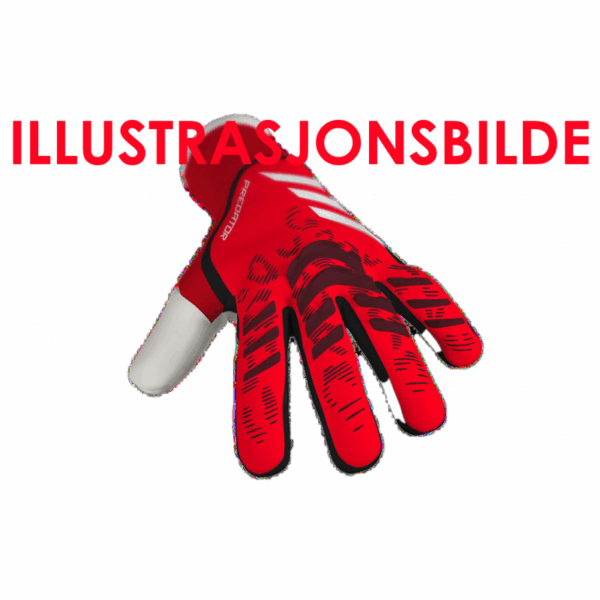 Adidas Adidas PRED GL TRN JM6827 Strømsø Sport 1