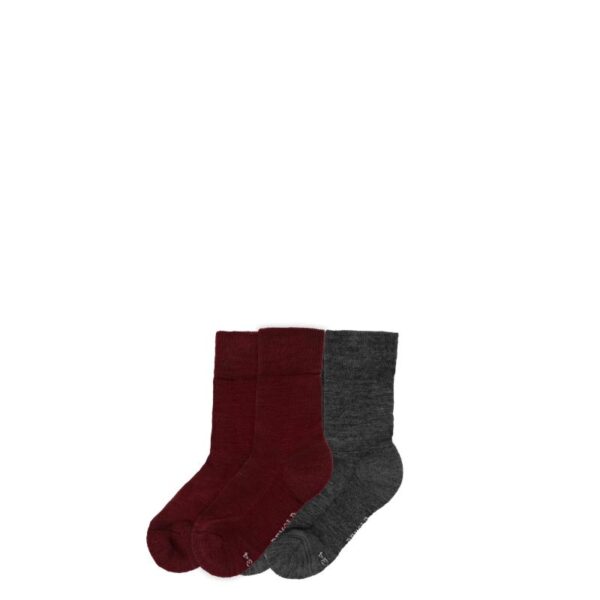 Devold Devold Daily Merino Medium Sock 2pk Kid SC 593 023 B Strømsø Sport 1