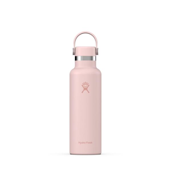 Hydro Flask 21 Oz Standard Flex Cap S21CSX Strømsø Sport 1