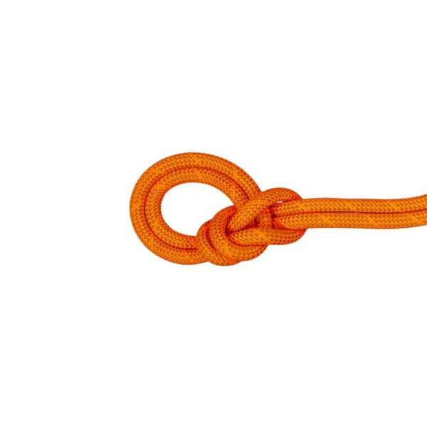 Mammut Mammut 9.8 Crag Dry Rope 60m 2010-05900 Strømsø Sport 1
