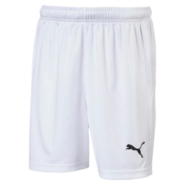 Puma Puma LIGA Shorts Core w Brief Jr 703616 Strømsø Sport 1