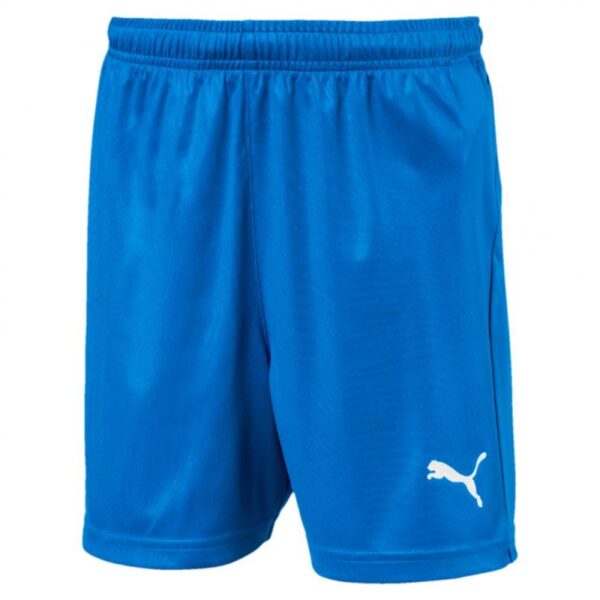 Puma Puma LIGA Shorts Core w Brief Jr 703616 Strømsø Sport 1