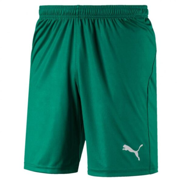 Puma Puma LIGA Shorts Core with Brief 703615 Strømsø Sport 1