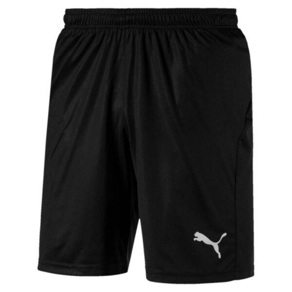 Puma Puma LIGA Shorts Core with Brief 703615 Strømsø Sport 1