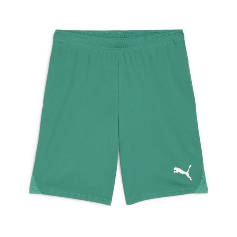 Puma Puma Teamgoal Shorts Jr 705753 Strømsø Sport 1
