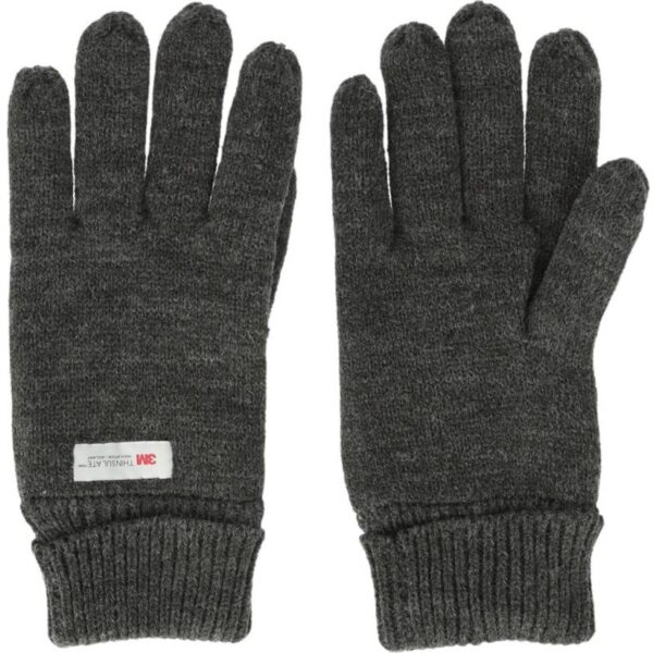 Whistler-Roumat M Thinsulate Knit Glove-W193574-Strømsø Sport-1 Whistler Roumat M Thinsulate Knit Glove