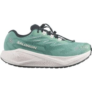 Salomon Salomon Aero Blaze 4 Grvl Gtx W L45403800 Strømsø Sport 1