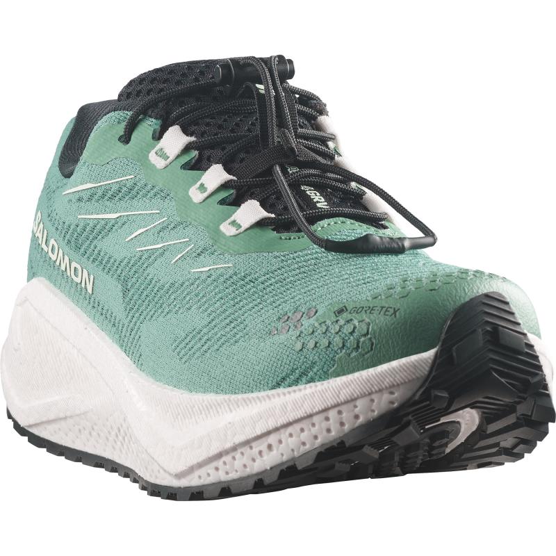 Salomon Salomon Aero Blaze 4 Grvl Gtx W L45403800 Strømsø Sport 5
