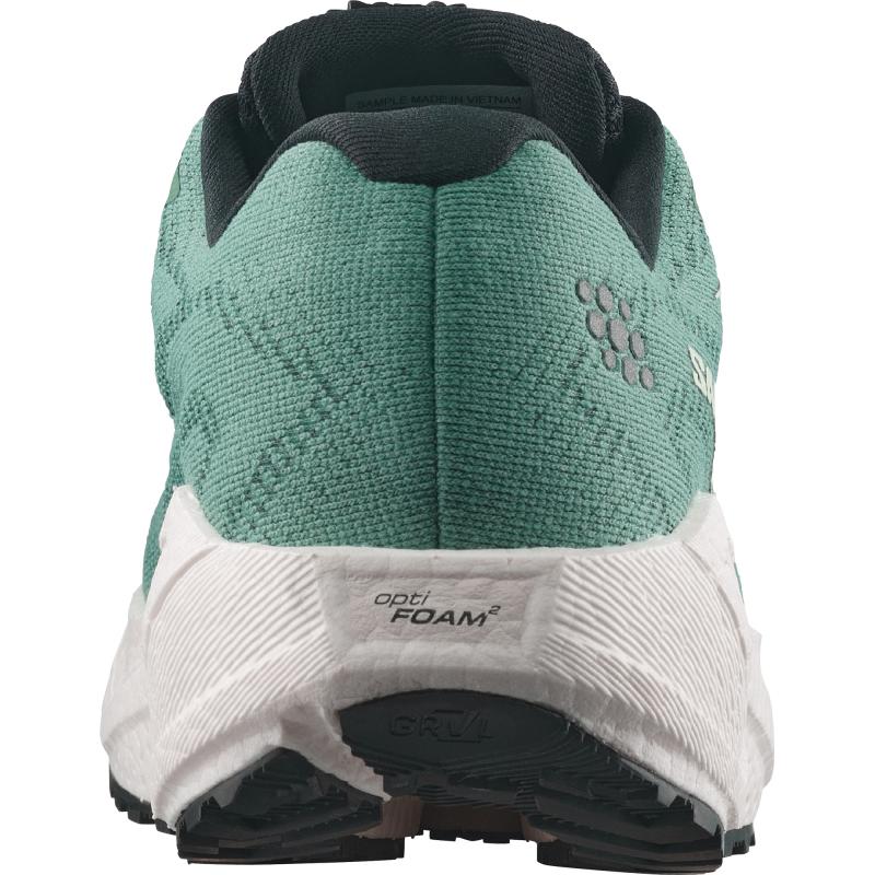 Salomon Salomon Aero Blaze 4 Grvl Gtx W L45403800 Strømsø Sport 6