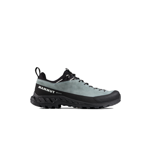 Mammut Mammut Alnasca Iv Low Lth Gtx Women 3020-06570 Strømsø Sport 1