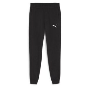 Puma Teamgoal Casuals Pants