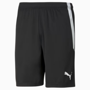 Puma Teamliga Shorts, Sort