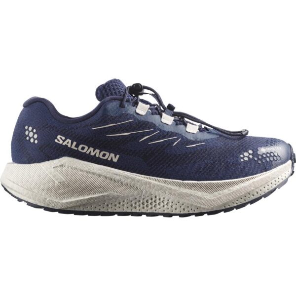 Salomon Salomon Aero Blaze 4 Grvl Gtx L45403100 Strømsø Sport 1
