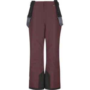 Whistler Drizzle Jr Ski Pant W-Pro 10000 W234094 Strømsø Sport 1